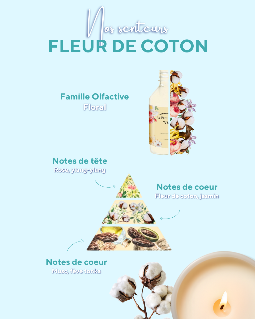 Simply Fleur de coton