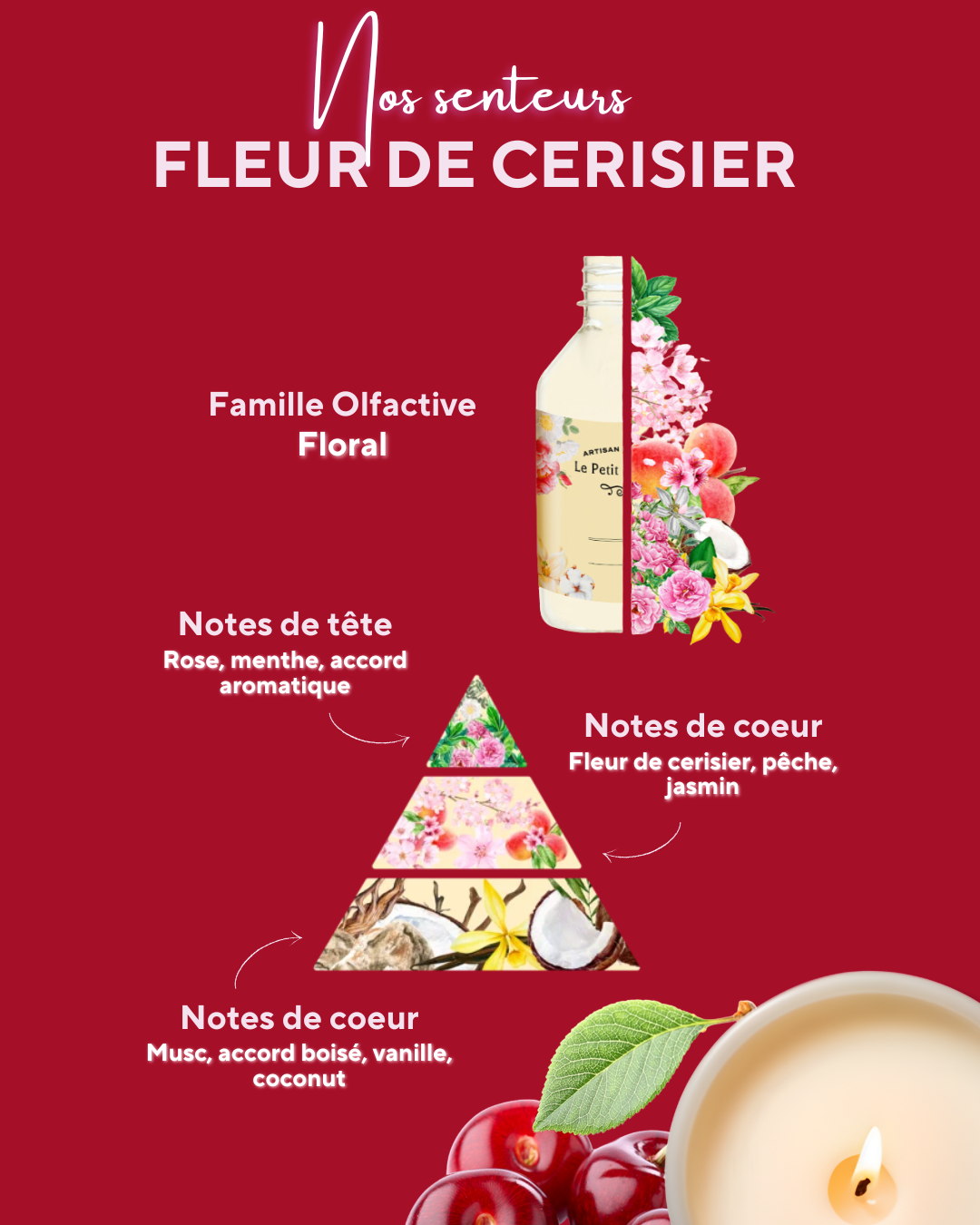 Simplement Fleur de cerisier