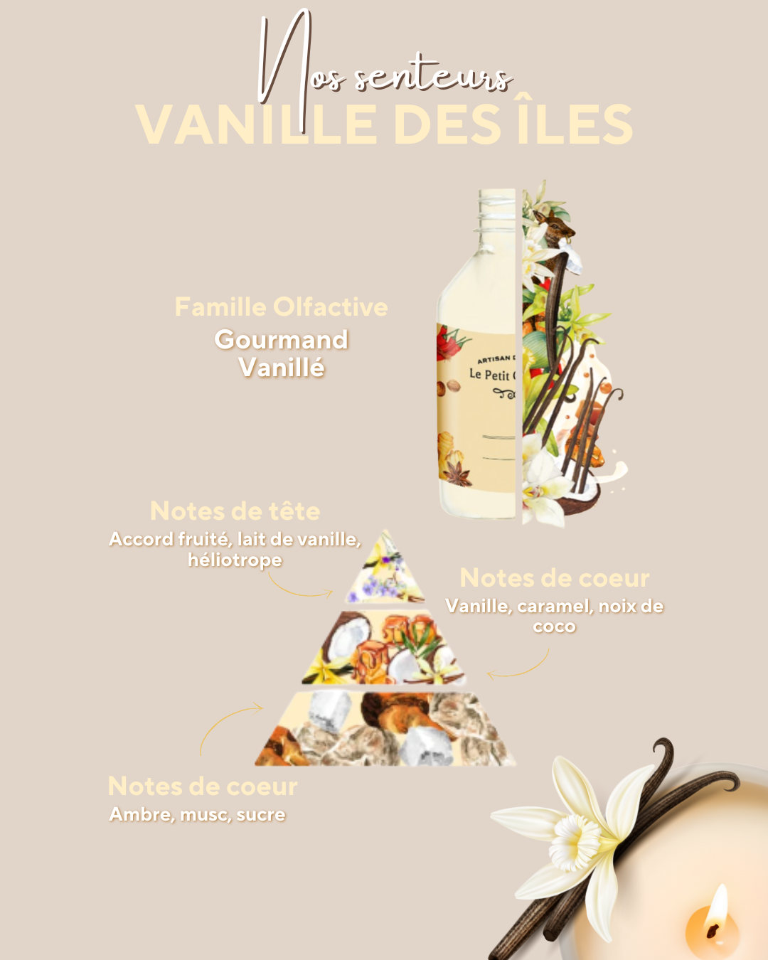 Basic Vanille des îles