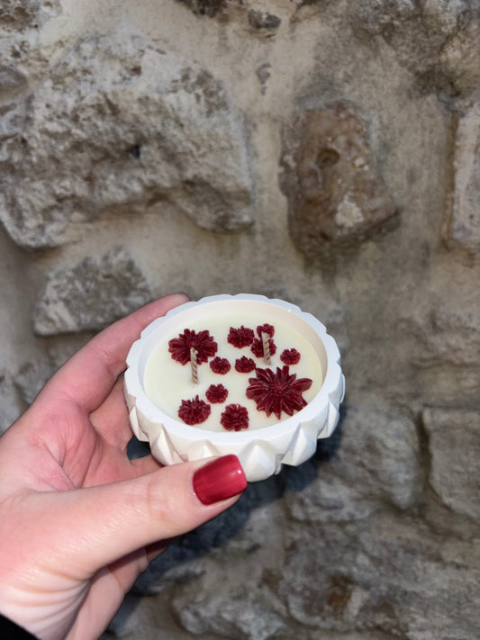 Mon petit jardin fleuri